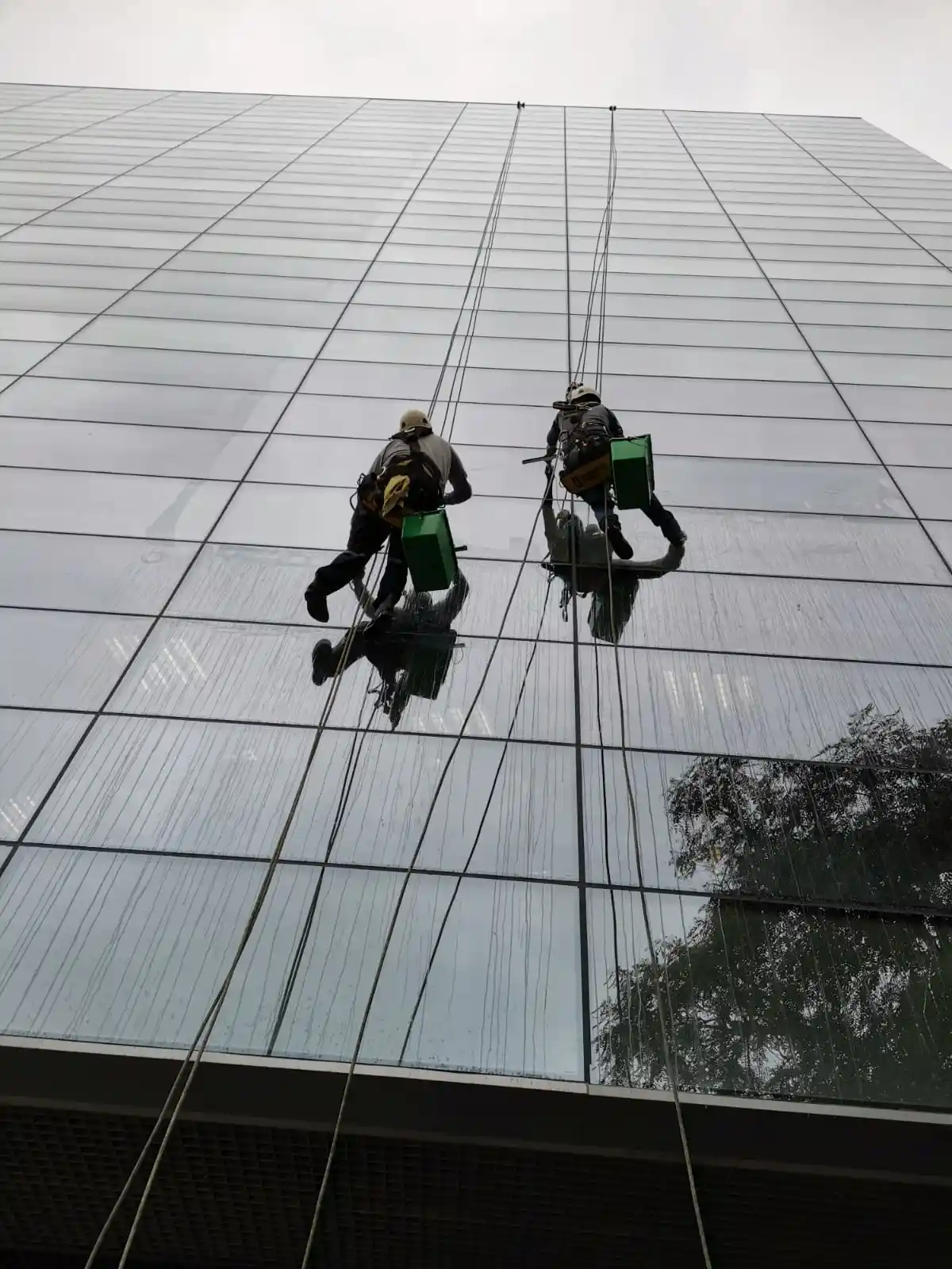 Trabajo JAP PERÚ 4